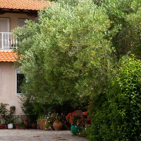 Nestori Apartments Possidi Посиди